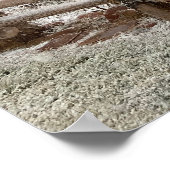 Moab Snow Poster (Ecke)