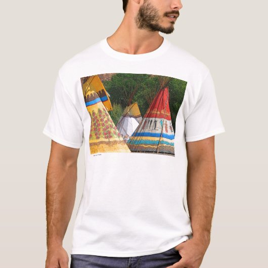 Moab Teepees T-Shirt (Vorderseite)