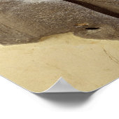 Moabiter Sturmgott, Shihan uraltes Land Moab, c. Poster (Ecke)