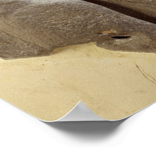 Moabiter Sturmgott, Shihan uraltes Land Moab, c. Poster (Ecke)