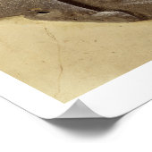 Moabiter Sturmgott, Shihan uraltes Land Moab, c. Poster (Ecke)