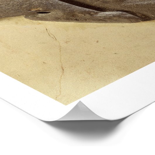 Moabiter Sturmgott, Shihan uraltes Land Moab, c. Poster (Ecke)