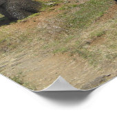 Moai auf der Osterinsel Poster (Ecke)