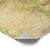 Moai auf der Osterinsel Rano Raraku Poster (Ecke)