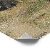 Moai bei Rano Raraku, Osterinsel Poster (Ecke)