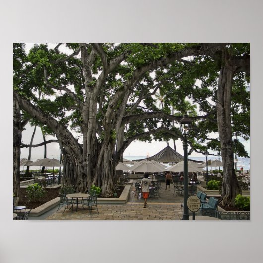 Moana Surfrider Banyan Court - Waikiki Beach Poster (Vorne)