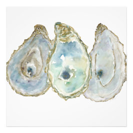 Mobile Bay Oysters-3 Fotodruck