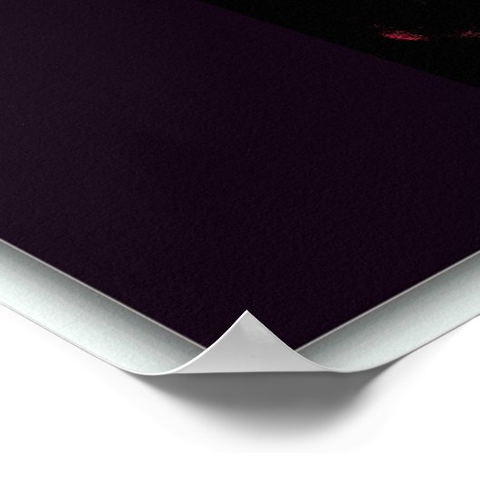 Mobius Collage Poster (Ecke)