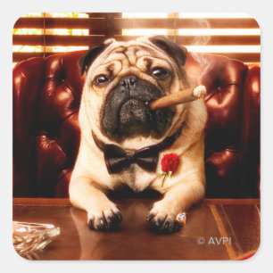 Mobster Dog Quadratischer Aufkleber