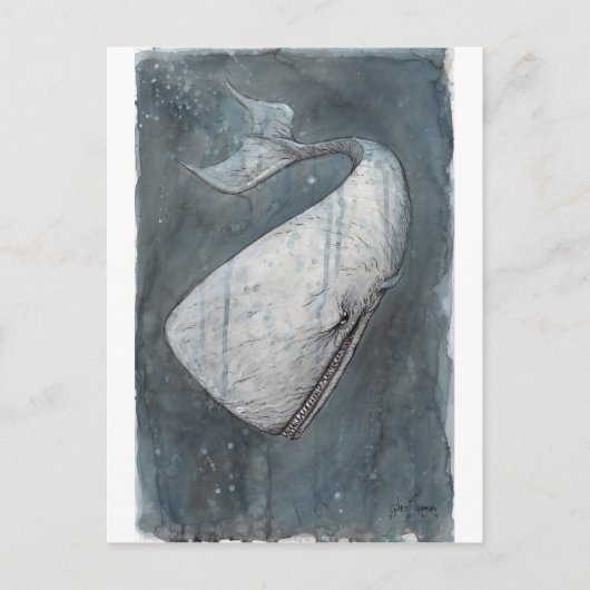 Moby Dick Postkarte (Vorderseite)