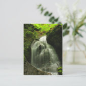 Moby Roaring Falls Wasserfall Postkarte (Stehend Vorderseite)