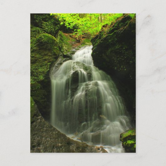 Moby Roaring Falls Wasserfall Postkarte (Vorderseite)