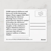 Moccasin's HOPE - rettend Wilde Pferde & Burros Postkarte (Rückseite)