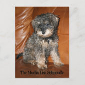 Mocha Lisa Schnoodle Postkarte (Vorderseite)