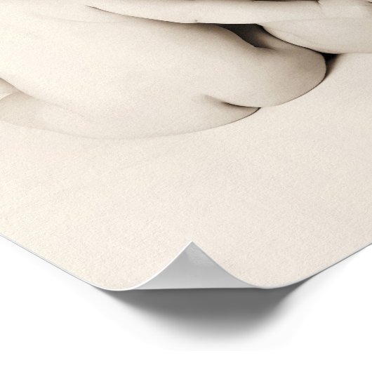 Mocha Twin Baby Bottoms Poster (Ecke)