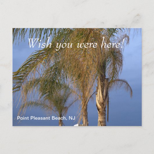 Möchten Sie hier Point Pleasant Beach NJ Postkarte (Vorderseite)
