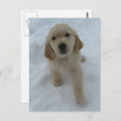 Möchten Sie hier sein? Postkarte (Vorne/Hinten)