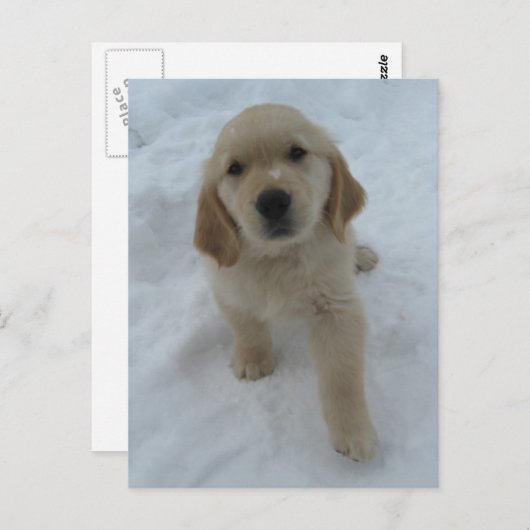 Möchten Sie hier sein? Postkarte (Vorne/Hinten)