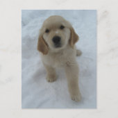 Möchten Sie hier sein? Postkarte (Vorderseite)