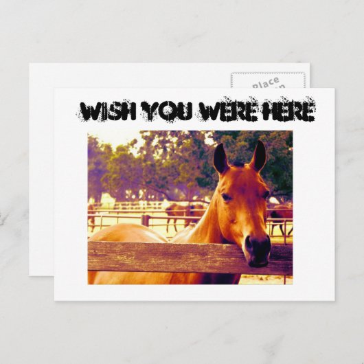 Möchten Sie hier sein? Postkarte (Vorne/Hinten)