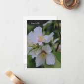 Mock Orange Blume Mitteilungskarte (Vorderseite/Rückseite Beispiel)