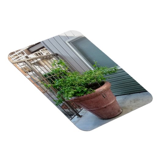 Mock Orange Magnet (Rechte Seite)