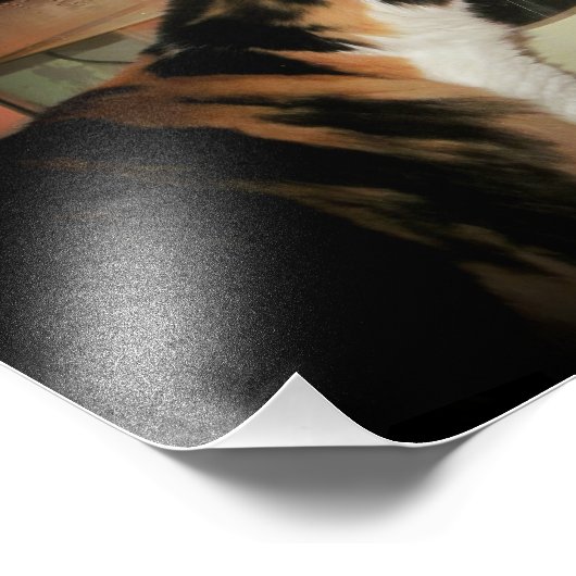 Mockfisch haiku fotodruck (Ecke)