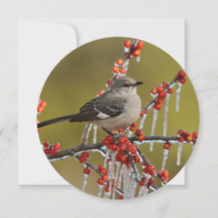Mockingbird auf dem Zweig der Icy Holly Feiertagskarte