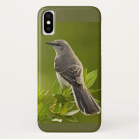 Mockingbird Bird Lovers Geschenke