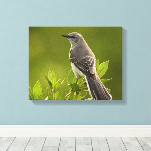 Mockingbird Bird Lovers Geschenke Leinwanddruck (Insitu (Holzboden))