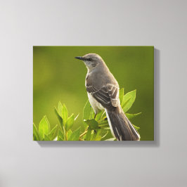 Mockingbird Bird Lovers Geschenke Leinwanddruck