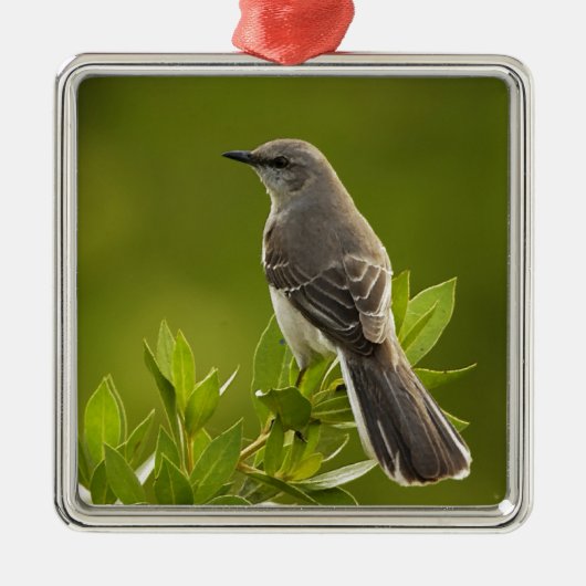 Mockingbird Bird Lovers Geschenke Ornament Aus Metall (Vorne)