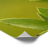 Mockingbird Bird Lovers Geschenke Poster (Ecke)