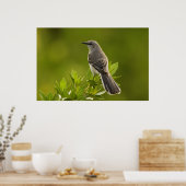 Mockingbird Bird Lovers Geschenke Poster (Küche)