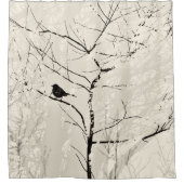 Mockingbird im Baum Licht Creme Kohle Schwarz Duschvorhang (Vorderseite)