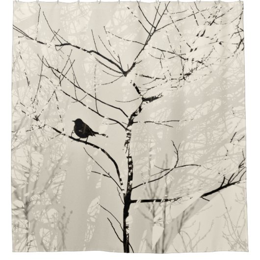 Mockingbird im Baum Licht Creme Kohle Schwarz Duschvorhang (Vorderseite)