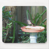 Mockingbird in Birdbath Mousepad (Vorne)