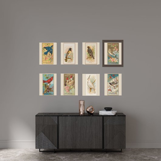 Mockingbird, Set von 8 (5 von 8) Vogelgalerie Maue Poster