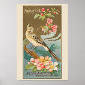 Mockingbird, Set von 8 (5 von 8) Vogelgalerie Maue Poster (Vorne)