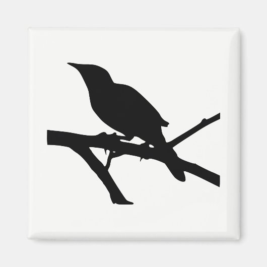 Mockingbird Silhouette Magnet (Vorne)