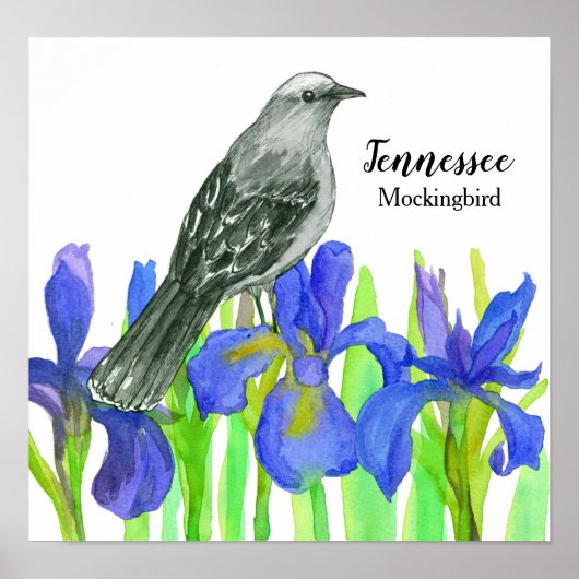Mockingbird Staat Bird of Tennessee Poster (Vorne)