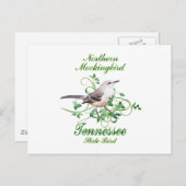 Mockingbird Tennessee Staat Bird Postkarte (Vorne/Hinten)
