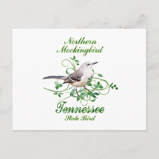 Mockingbird Tennessee Staat Bird Postkarte (Vorderseite)