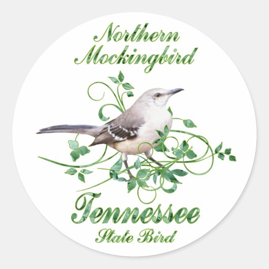Mockingbird Tennessee Staat Bird Runder Aufkleber (Vorderseite)