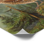 Mockingbird und Brown Thrasher Poster (Ecke)