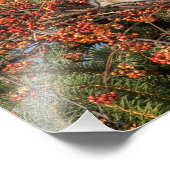 Mockingbird und Virginia-Strampler Fotodruck (Ecke)