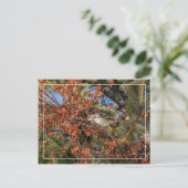 Mockingbird und Virginia-Strampler Postkarte (Stehend Vorderseite)