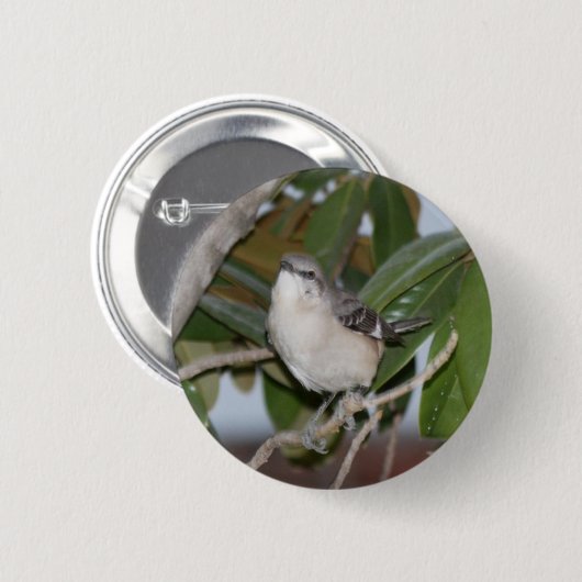 Mockingbutton - Nordspottdrossel auf Magnolie Button (Vorne & Hinten)