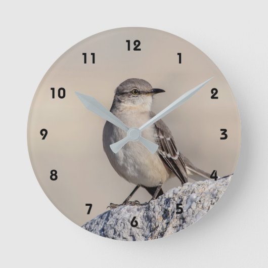 Mockingvogel auf einem Felsen Runde Wanduhr (Vorderseite)