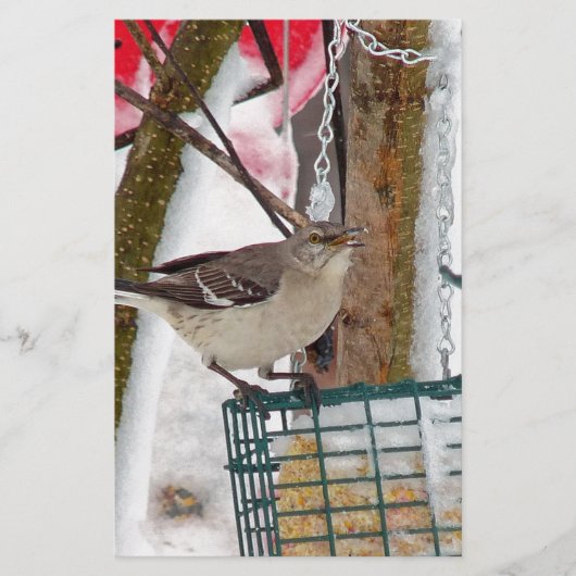 Mockingvogel Briefpapier (Vorderseite)